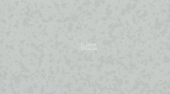 Линолеум Taralay Premium Compact Osmoz 3793 CASHMERE GREY фото 1 | FLOORDEALER